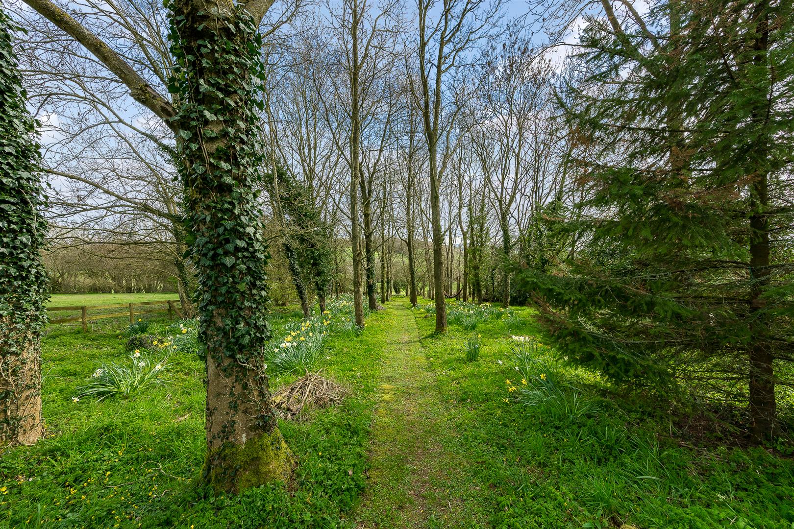 Broome Hall Farm, Chatwall, Church Stretton, SY6 7LD | Estate Agents ...